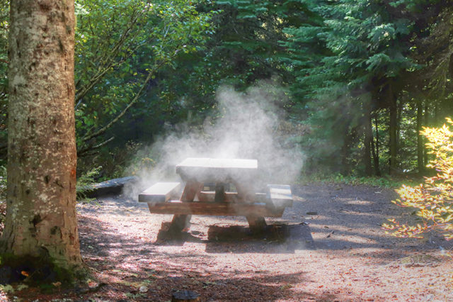 Read more about the article 12 Campgrounds Near Mt. Hood Open This Weekend