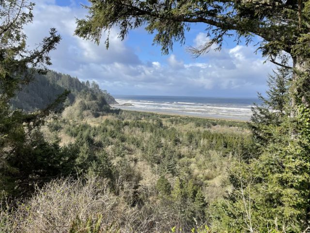 Lookout point view of beach