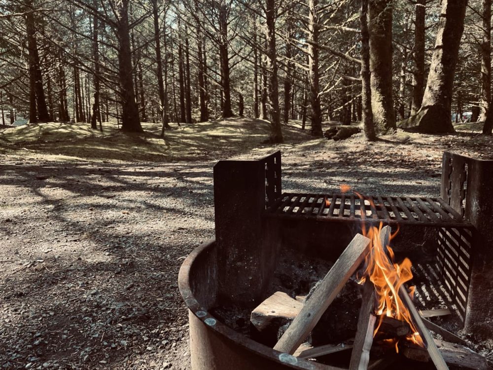 Campfire and trees