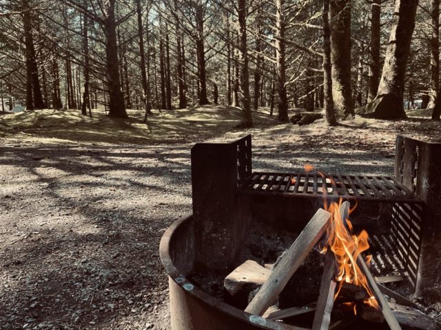 Campfire and trees