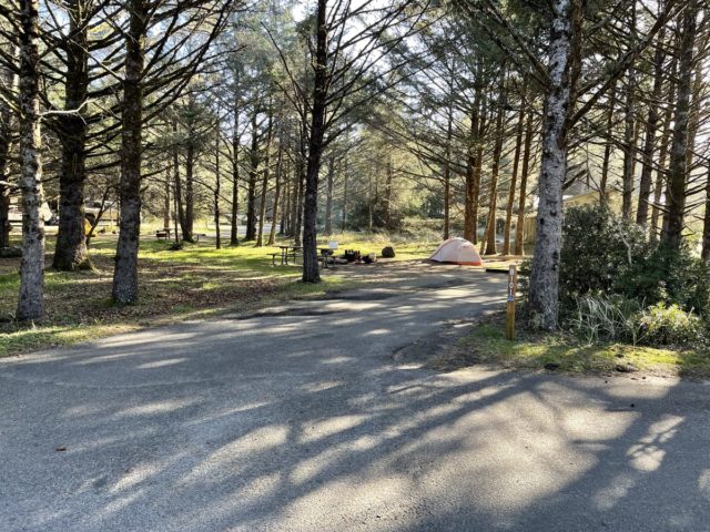 Campsite at Cape Disappointment