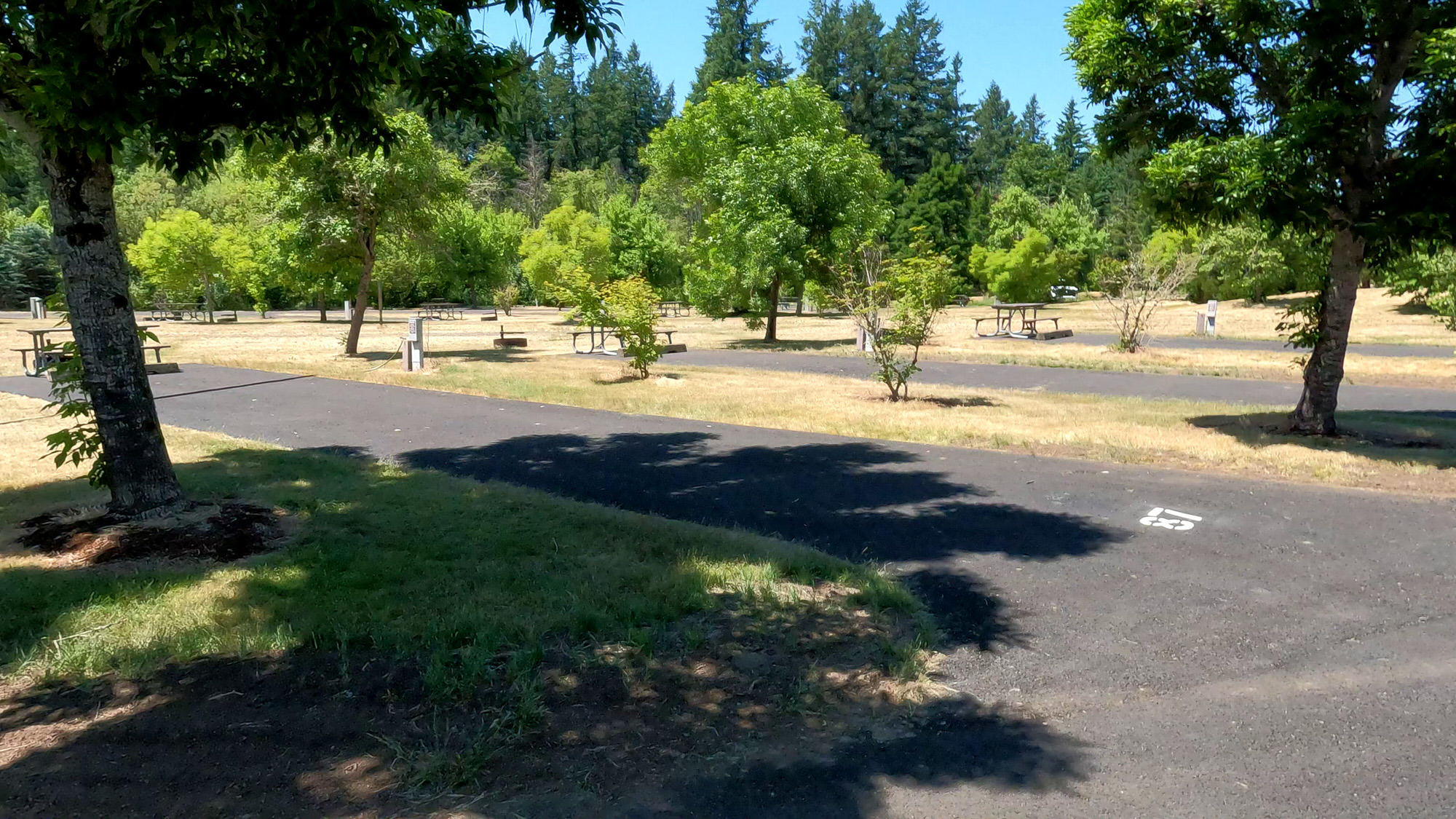 Barton Park Clackamas County Campground Estacada, Oregon