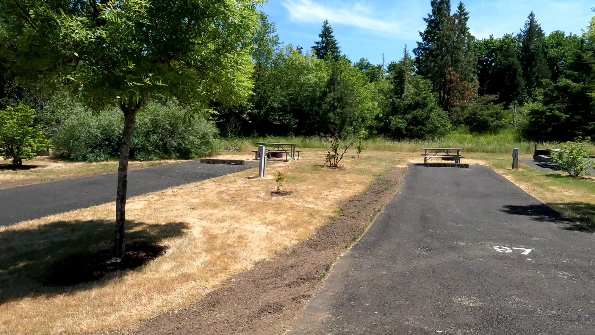 Barton Park Clackamas County Campground Estacada, Oregon