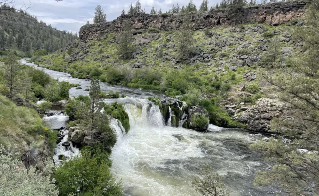 Steelhead Falls waterfall in a canyon