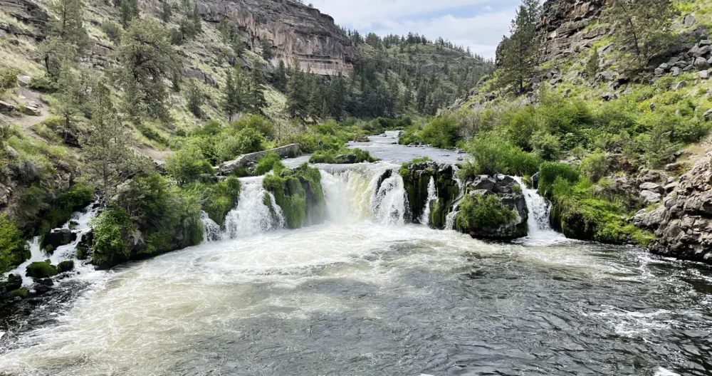 Steelhead Falls waterfall in a canyon