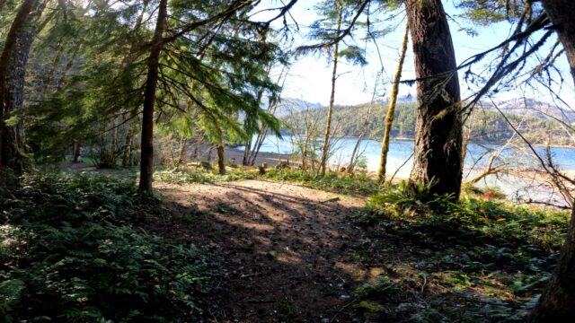 cove-creek-group (1)