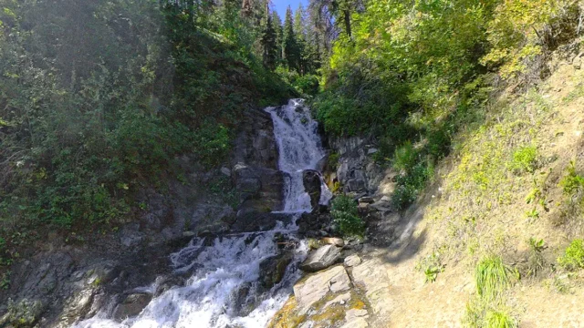 Waterfall cascading in the forest